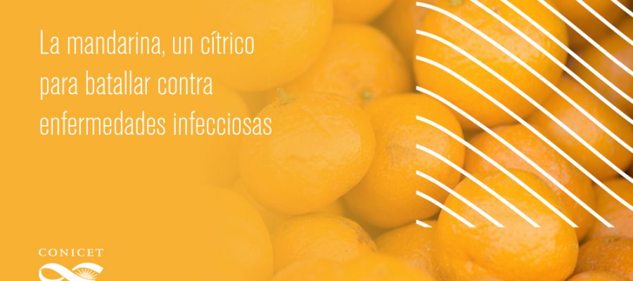 mandarina Conicet 12-10-2018
