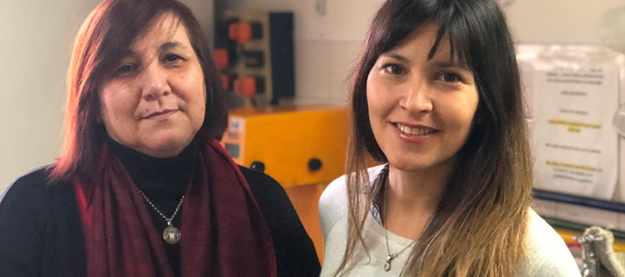 Científicas-del-CONICET-lograron-un-producto-antimicrobiano-con-yerba