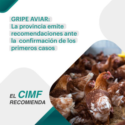 CIMF_24-02_RECOMIENDA