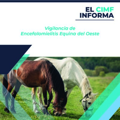 El CIMF informa 15-12_El CIMF informa