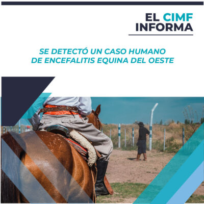 El CIMF informa 2 20-12