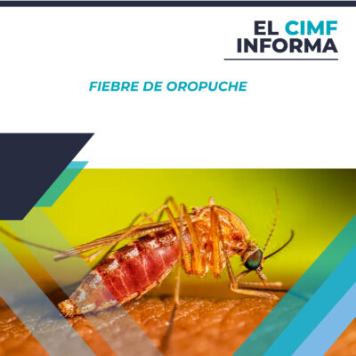 El CIMF informa_06-08_El CIMF informa