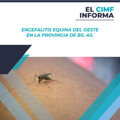 El CIMF informa_12-01_El CIMF informa